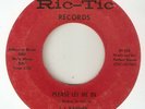 J J BARNES Please Let Me In RIC TIC DETROIT ZTSC NORTHERN SOUL USA 45