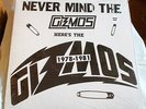 THE GIZMOS - NEVER MIND THE GIZMOS HERE'S THE GIZMOS 78-81 INDIANA PUNK  LP
