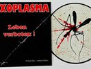 Toxoplasma - Leben Verboten
