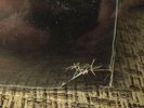 Excalibur Movie Soundtrack Record Vinyl Sealed