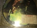 STEVIE RAY VAUGHAN Couldnt Stand The Weather 1984 US Limited PICTURE DISC LP SRV