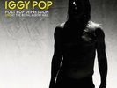 Live At The Royal Albert Hall New Sealed Vinyl Iggy Pop Post Pop Depression