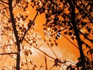 GAS - Konigsforst 3 x LP - Vinyl Record Ambient Techno Album