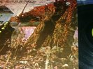 Black Sabbath Self Titled 1970 US 1st Press WS LP 1871 Green WB Labels vinyl EX+