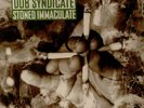 Dub Syndicate Stoned Immaculate UK vinyl LP album record ON-ULP56 ON U SOUND