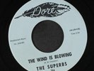 SUPERBS: The Wind Is Blowing / Better Get Your Own One Buddy 45 rare Soul