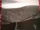 Hate Forest- Sorrow Lp 1st Press Nokturnal Mortum Bathory