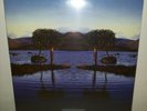 BRUCE DICKINSON - SKUNKWORKS - 2 LP
