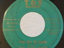 Soul Blues R&B Rocker 45 Guitar Crusher I've Got To Know on T&S HEAR
