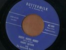 HARRY SNYDER & BUTTERMILK DRINKERS - Worry Worry - country 45  STATLER BROTHERS