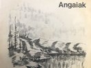 JOHN ANGAIAK Private Press Alaskan Loner Folk Original PICTURE SLEEVE 45 NM 7”