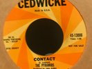 surf garage 45 THE PYRAMIDS Contact  CEDWICKE Listen