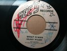 Delroy Wilson   What Is Man / Version 1973 Gee's Records Reggae Roots Dub 45