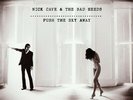 Nick Cave and The Bad Seeds - Push The Sky Away (180g+MP3) Vinyl LP Bad See NEU