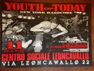 Youth of Today - Original Gig Poster 1989 Revelation Positive Force Wishingwell