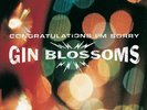 Gin Blossoms - Congratulations I'm Sorry