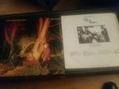 Echo and the Bunnymen Crocodiles Vinyl Sire Records SRK 6096 1980 Working