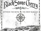 Black Stone Cherry - Between The Devil And The Deep Blue Sea