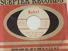 Rockabilly 45 Tony Senn - I Think I've Seen Enough - International Rebel 1001 VG