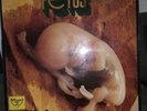 LP FRANCO BATTIATO FETUS BLA BLA RECORD PRIMA STAMPA 1972