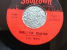 The Trips There's that mountain 70's Un release
