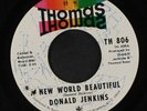 DONALD JENKINS: A New World Beautiful / Fighting For My Baby 45 Soul