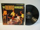 B617: The Animals 