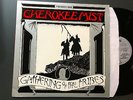 LP 1994 UK    Cherokee Mist ?– Gathering Of The Tribes Label: Avalon Records