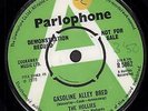 HOLLIES Gasoline Alley Bred 7