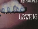 ERIC BURDON AND THE ANIMALS - LOVE IS - EXCELLENT     2 LP