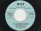 '58 White DooWop/Teen RADIANTS I'll Never Be Mean/Ra Cha Cha WIZZ 713 VG+ HEAR