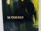 Psycho Realm ?– The Psycho Realm  Rare 2 NM LPs  First Press 1997 A2