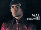 LP 33  Mal ?Mal Dei Primitives RCA ?PSL 10442 ITALY 1969