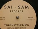 People Under The Stairs Trippin at the Disco 12