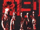 RATT Roll 81–91 VINYL LP Stephen Pearcy DeMartini Juan Croucier Autograph SIGNED