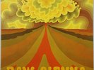 SAVOY BROWN – Raw Sienna 1970 LP