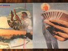 Guided By Voices UNDER THE BUSHES, MAG EARWHIG  - Robert Pollard GBV - 2 LP