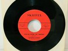 PICTORIAN SKIFFULS - You've Done Me Wrong / In Awhile 45 - VG++, Clean