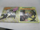 Vinyl LP Album Flying Burrito Bros 1968-1972 Best of Buffalo Springfield