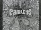 THE PAISLEYS COSMIC MIND AT PLAY 2015 SUNDAZED SUN LP 5109 REISSUE PSYCH GARAGE