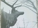 Agalloch – The Mantle 2x LP Clear (Grau)- Alcest- Wolves in the Throne Room- Fen