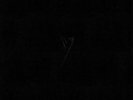 POP GROUP, The - Y: Definitive Edition - Vinyl (LP box)