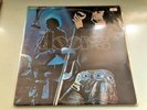 The Doors - Absolutely Live | 2 LP alt | Elektra | Zustand gut