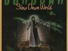 Donovan Slow Down World vinyl LP album record UK EPC86011 EPIC 1976