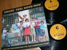 SWANS - FEEL GOOD NOW - Double LP