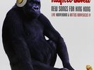 Hugh Cornwell-New Songs for King Kong Vinyl / 12
