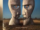 Pink Floyd ?– The Division Bell - LP, Vinyl, Schallplatte  ACHTUNG: Lesen