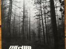 The Cure A Forest 12