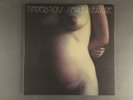 2-Vinyl-LP: TINDERSTICKS 