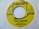 THE IMAGINATIONS   STRANGE NEIGHBORHOOD - U.S FRATERNITY PROMO